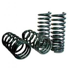 Lowering Springs