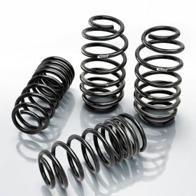 Lowering Springs