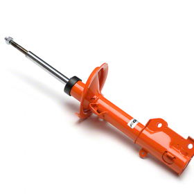 Shocks and Struts