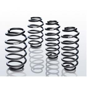 Lowering Springs