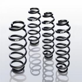 Lowering Springs