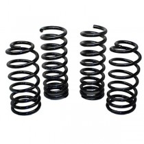 Mustang Lowering Springs Brothers Performance