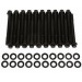 ARP Cylinder Head Bolt Kit (69-70 Ford Boss 302)