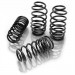 Eibach Pro Kit Lowering Springs (15-17 Challenger Hellcat/Scat Pack)